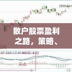 散户股票盈利之路，策略、心态与长期视角探究