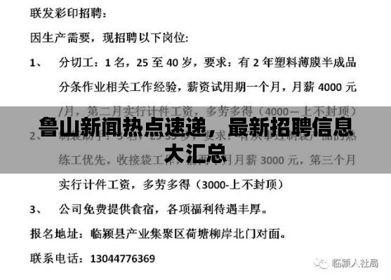 鲁山新闻热点速递，最新招聘信息大汇总