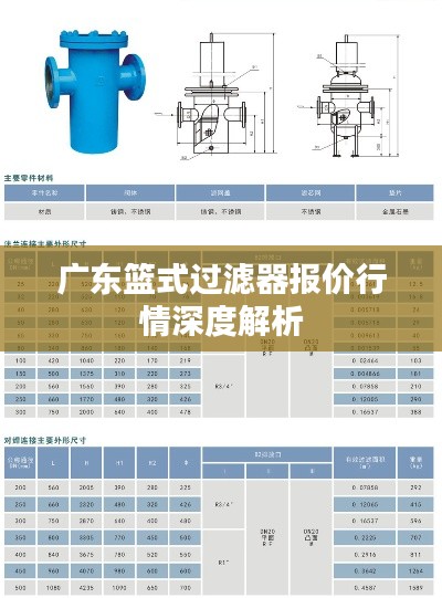 广东篮式过滤器报价行情深度解析