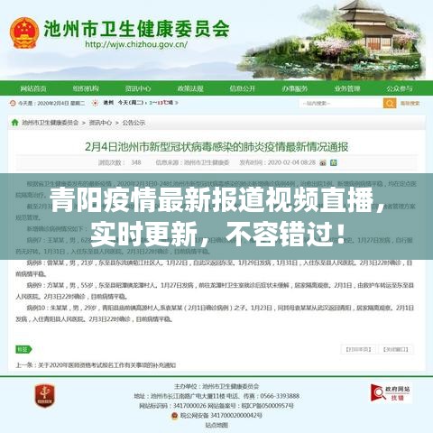 青阳疫情最新报道视频直播，实时更新，不容错过！