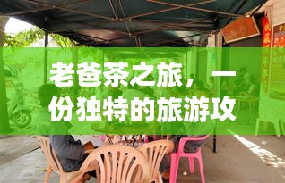 老爸茶之旅，一份独特的旅游攻略