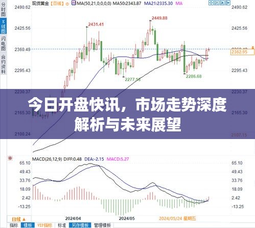 今日开盘快讯，市场走势深度解析与未来展望