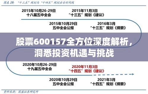 股票600157全方位深度解析，洞悉投资机遇与挑战