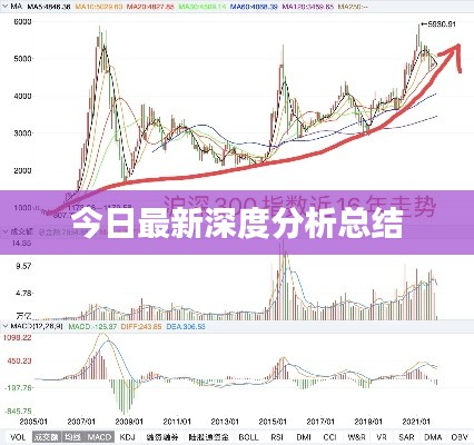 今日最新深度分析总结