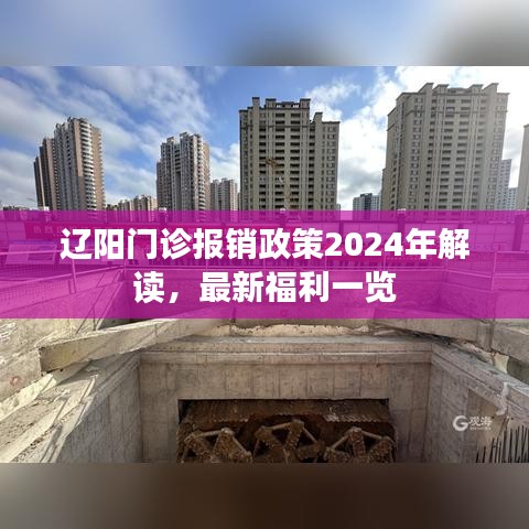 辽阳门诊报销政策2024年解读，最新福利一览