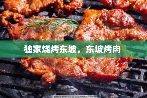 独家烧烤东坡，东坡烤肉 