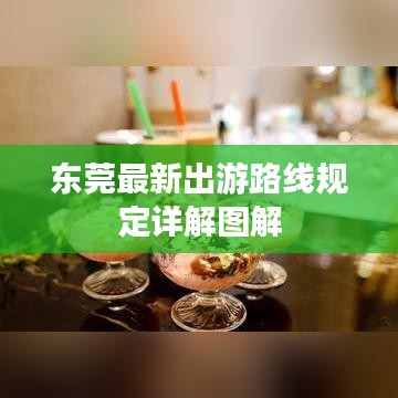 东莞最新出游路线规定详解图解