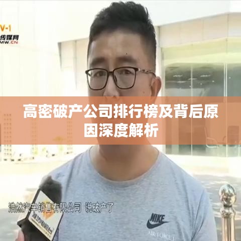 高密破产公司排行榜及背后原因深度解析