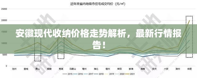 安徽现代收纳价格走势解析，最新行情报告！