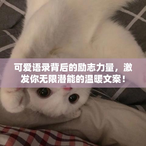 可爱语录背后的励志力量，激发你无限潜能的温暖文案！