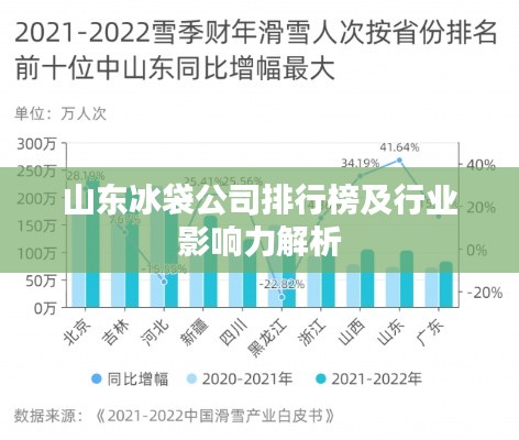 山东冰袋公司排行榜及行业影响力解析