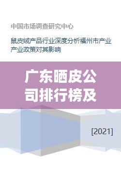 广东晒皮公司排行榜及行业深度剖析