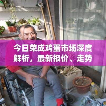 今日荣成鸡蛋市场深度解析，最新报价、走势与产业洞察