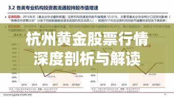 杭州黄金股票行情深度剖析与解读