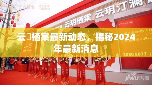 云玥栖棠最新动态，揭秘2024年最新消息