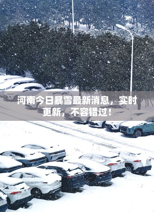 河南今日暴雪最新消息，实时更新，不容错过！