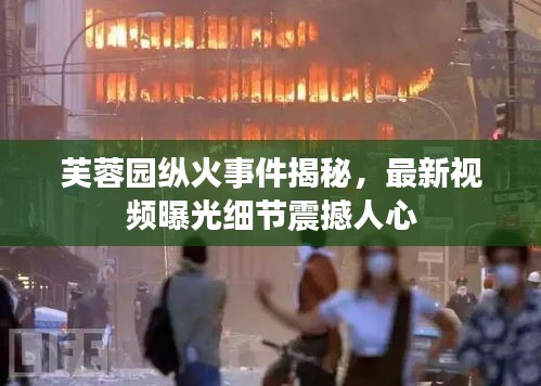 芙蓉园纵火事件揭秘，最新视频曝光细节震撼人心