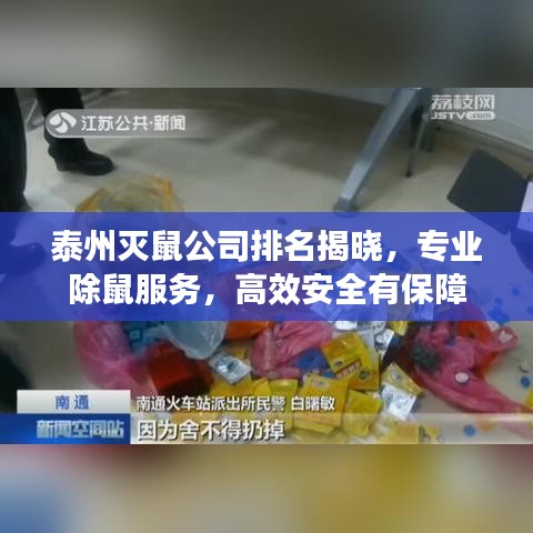 泰州灭鼠公司排名揭晓，专业除鼠服务，高效安全有保障