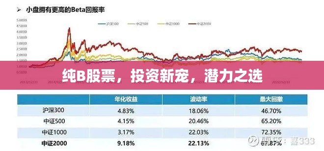 纯B股票，投资新宠，潜力之选