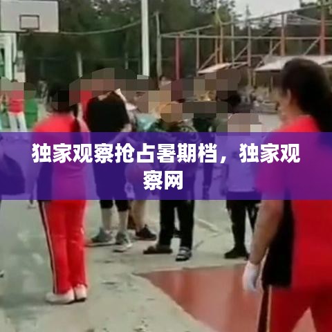 独家观察抢占暑期档，独家观察网 