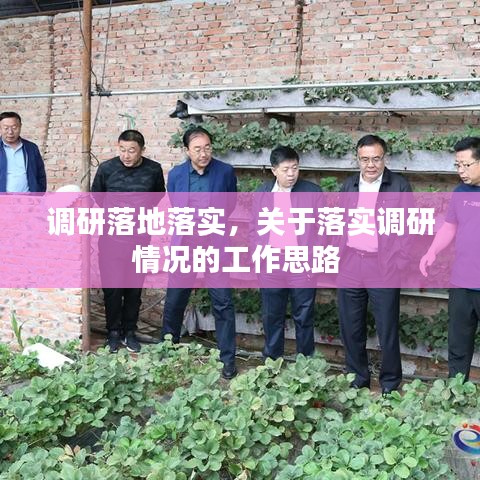 调研落地落实，关于落实调研情况的工作思路 