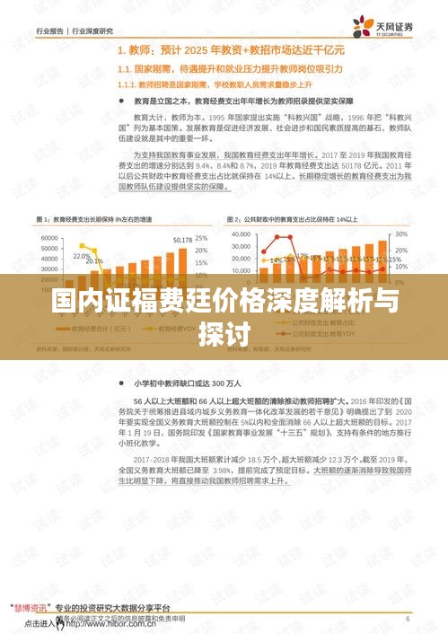 国内证福费廷价格深度解析与探讨