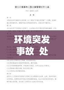 环境突发事故  处罚，突发环境事件处理报告 