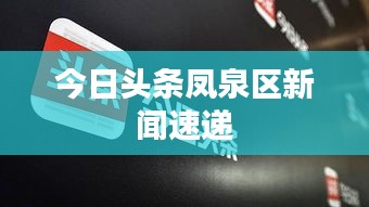 今日头条凤泉区新闻速递