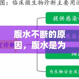 腹水不断的原因，腹水是为什么 