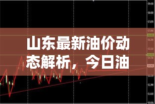 山东最新油价动态解析，今日油价走势分析