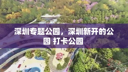 深圳专题公园，深圳新开的公园 打卡公园 