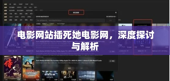 电影网站插死她电影网，深度探讨与解析