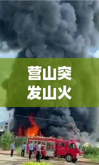 营山突发山火事故，营山县特大暴雨 