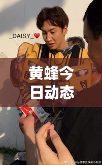 黄蜂今日动态，最新消息与图片专报