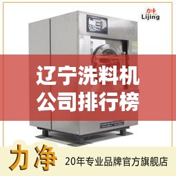 辽宁洗料机公司排行榜揭晓，行业领先的几家企业！