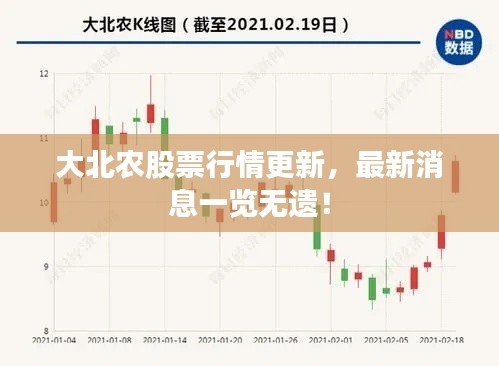 大北农股票行情更新，最新消息一览无遗！
