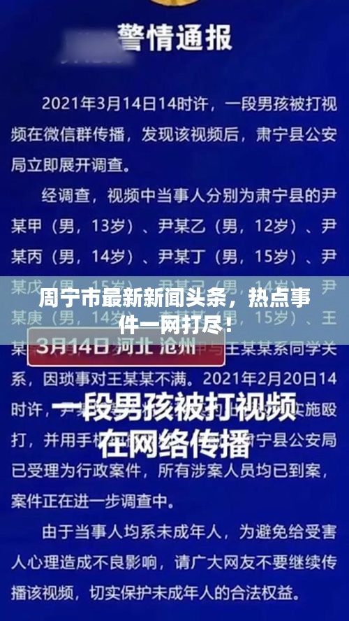 周宁市最新新闻头条，热点事件一网打尽！