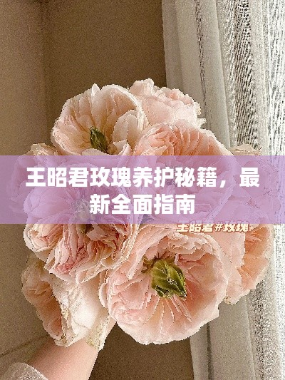 别出新意