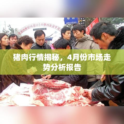 刚毅木讷