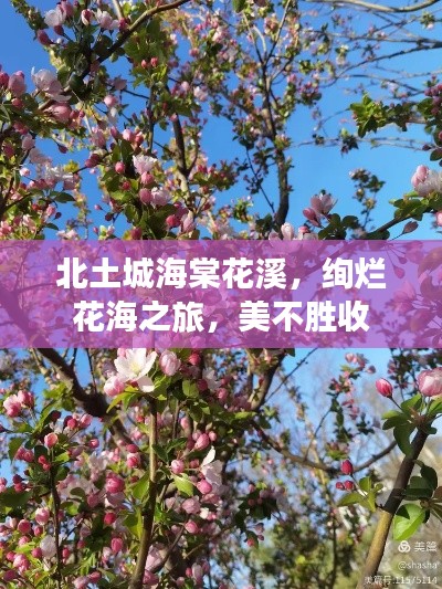 忠心耿耿